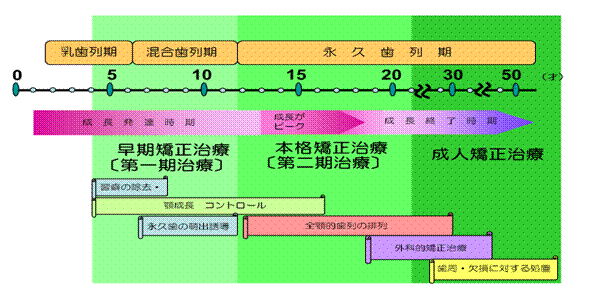 矯正治療の時期と目標